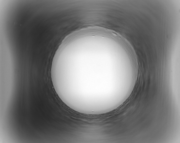 X0000099230705200804241229
