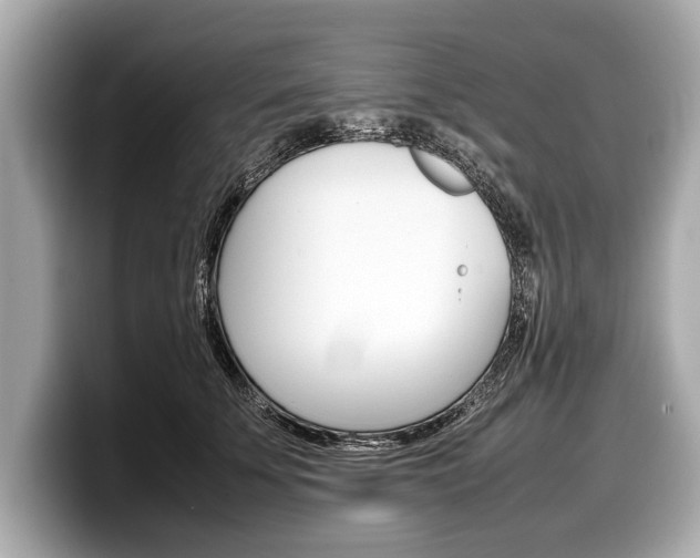 X0000099230707200804241229