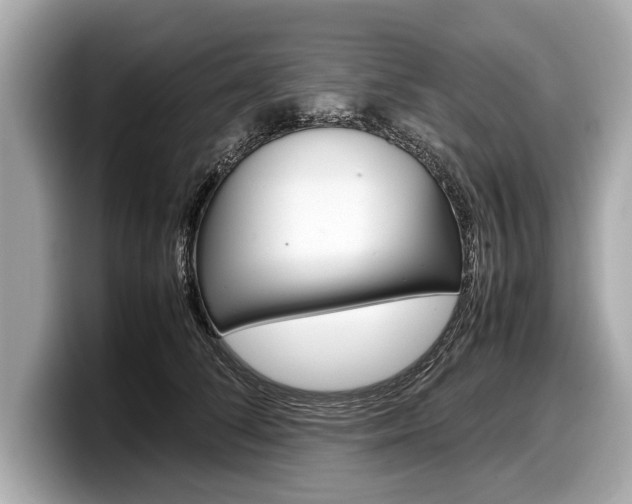 X0000099230708200804241229