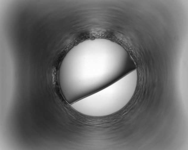 X0000099230712200804241229