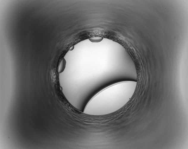 X0000099230715200804241229