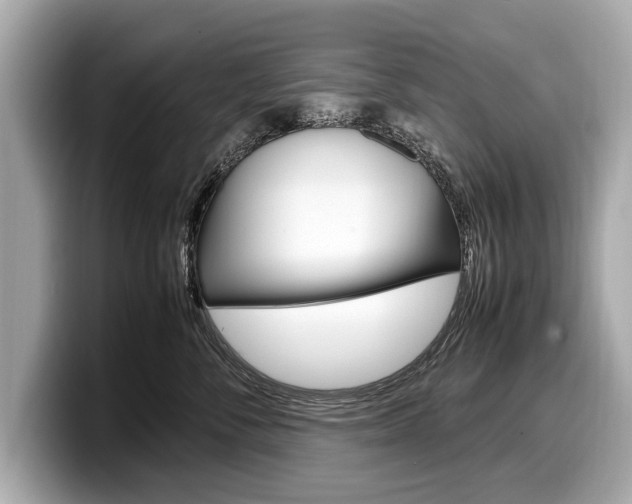 X0000099230716200804241229