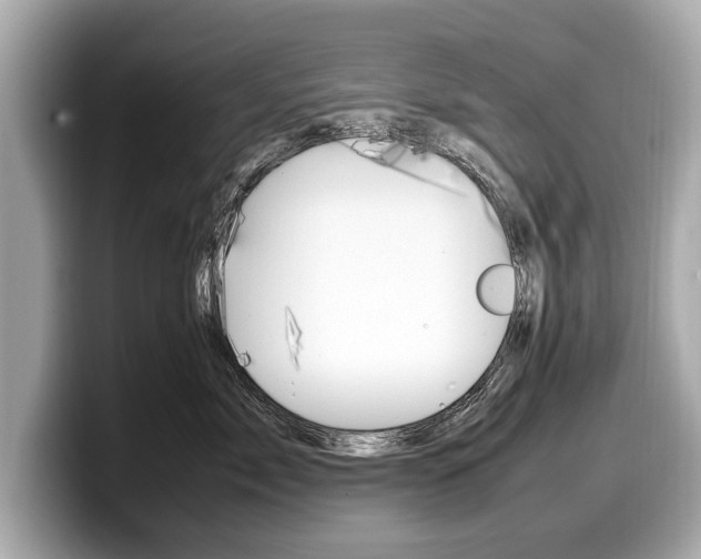 X0000099230717200804241229