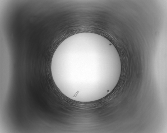 X0000099230720200804241229
