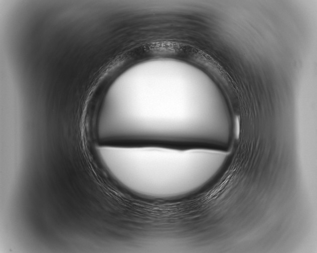 X0000099230723200804241228