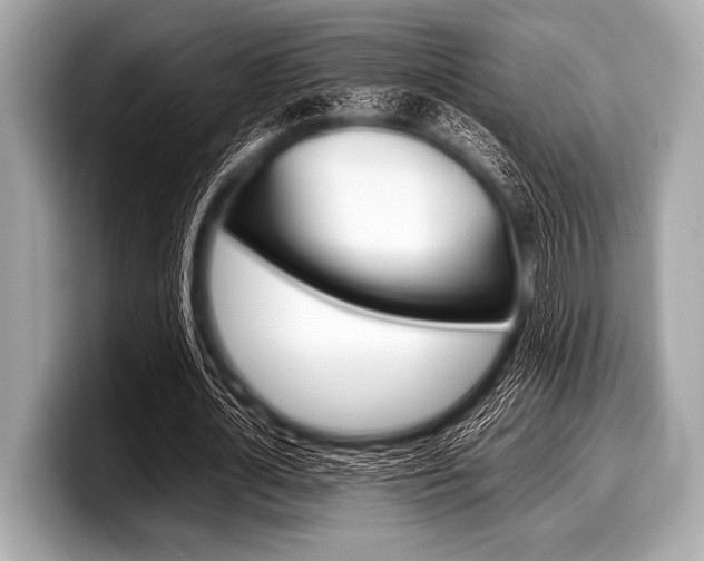 X0000099230724200804241228