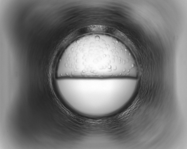 X0000099230725200804241228