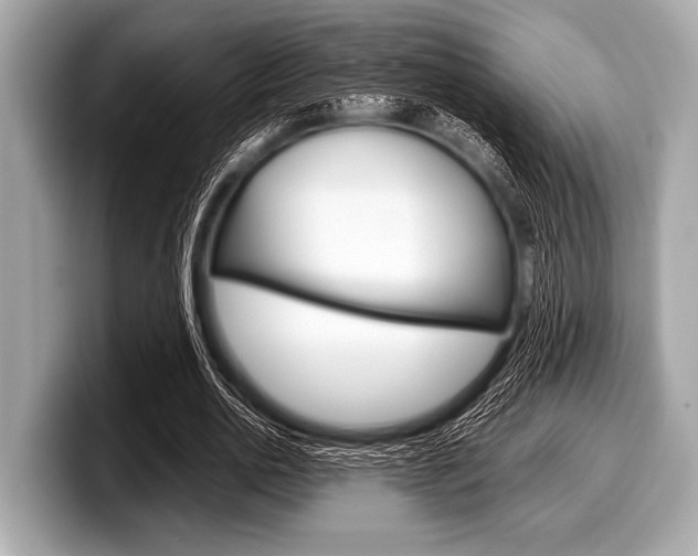 X0000099230726200804241228