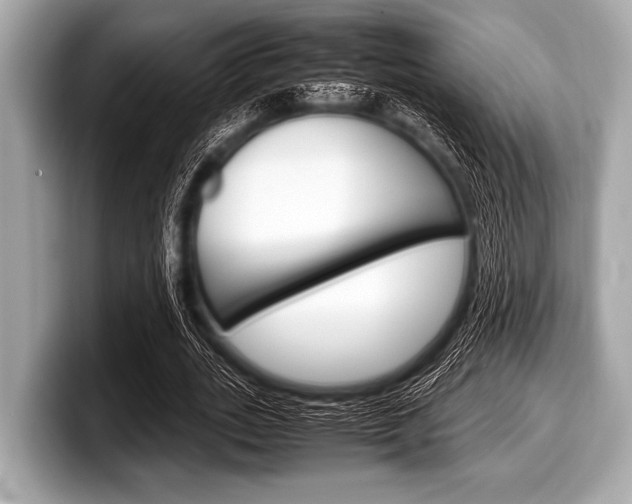 X0000099230727200804241228