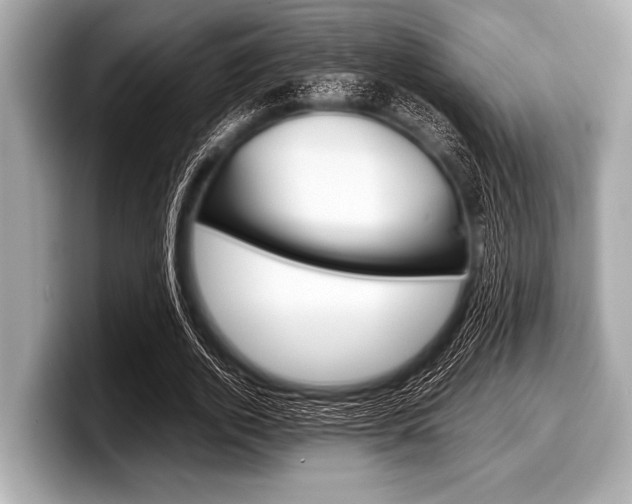 X0000099230728200804241228