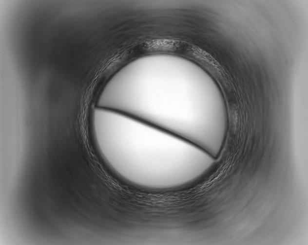 X0000099230729200804241228