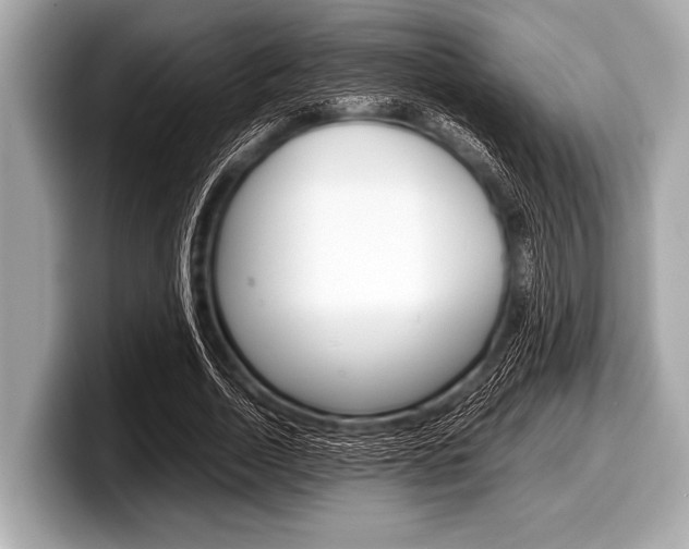 X0000099230730200804241228