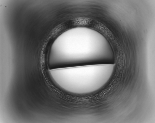 X0000099230731200804241228