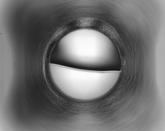 X0000099230732200804241228