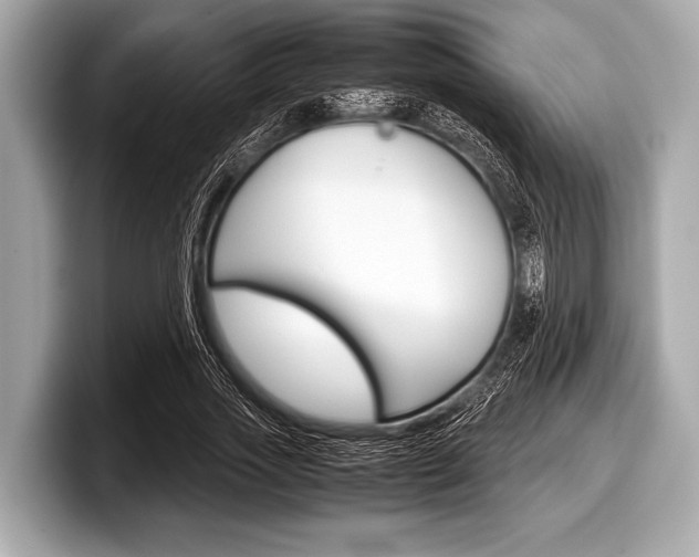 X0000099230733200804241229