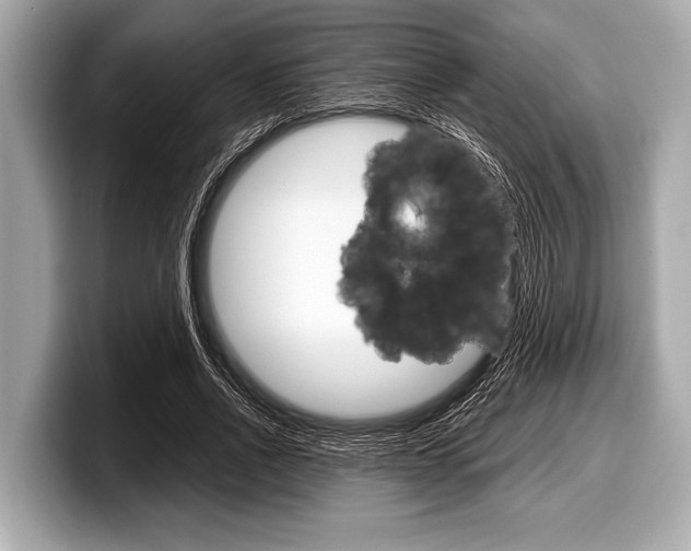X0000099230734200804241229