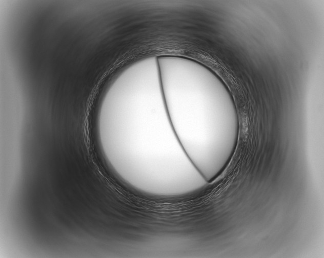 X0000099230735200804241229