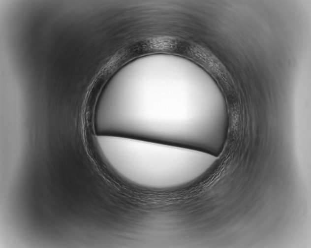 X0000099230736200804241229