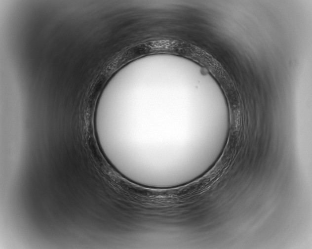 X0000099230737200804241229