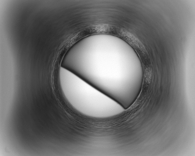 X0000099230740200804241229