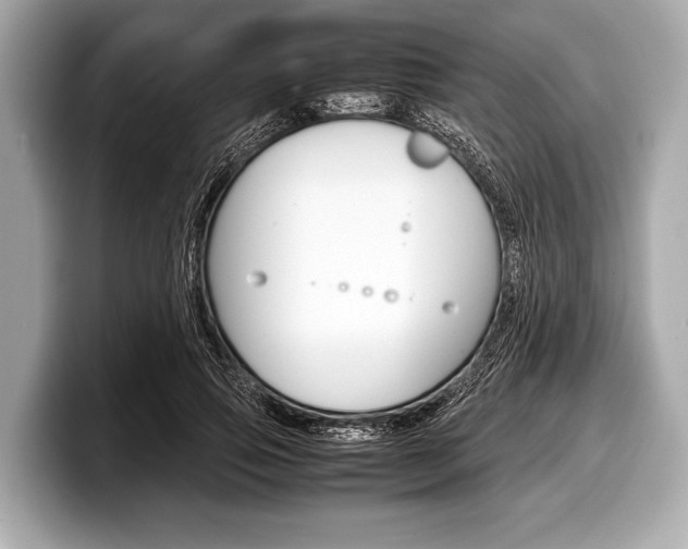 X0000099230741200804241229