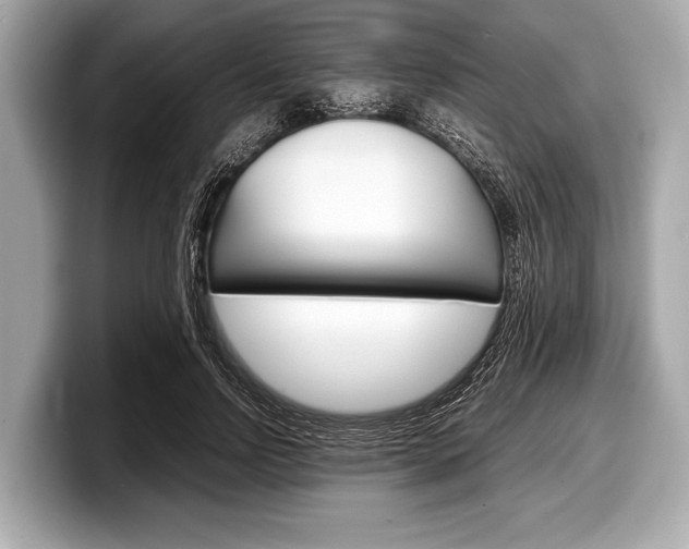 X0000099230742200804241229