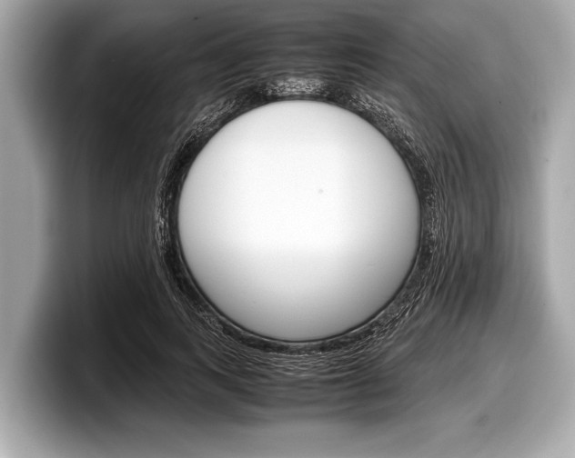 X0000099230743200804241229