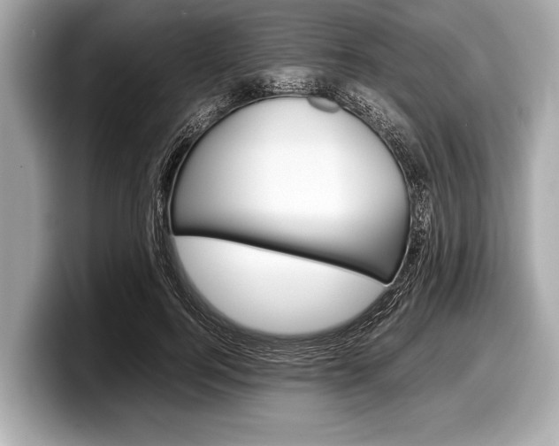X0000099230744200804241229