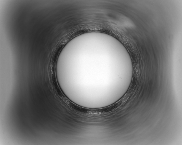 X0000099230746200804241229