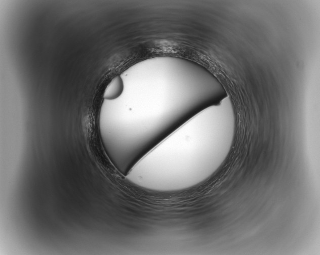 X0000099230747200804241229