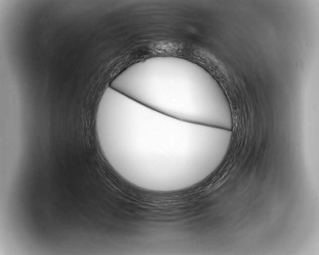 X0000099230749200804241229