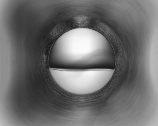X0000099230752200804241229