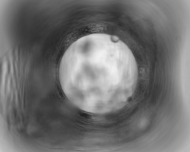 X0000099230753200804241229