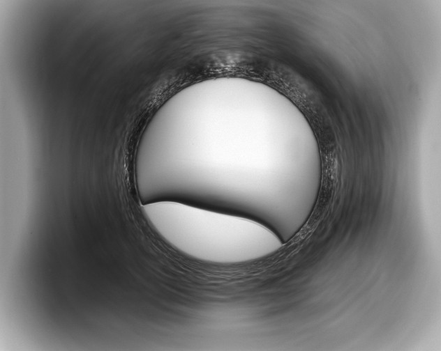 X0000099230754200804241229