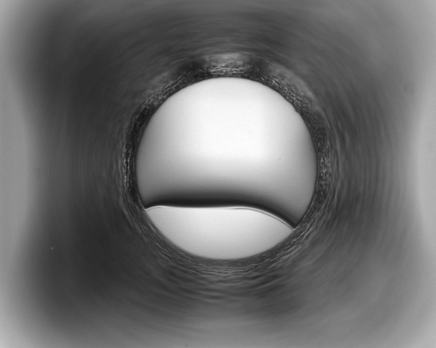 X0000099230755200804241229