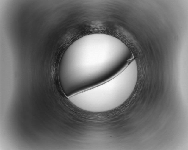 X0000099230756200804241229