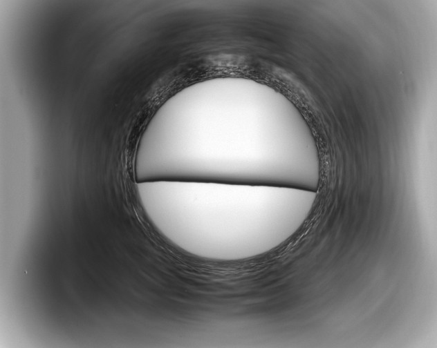 X0000099230757200804241229