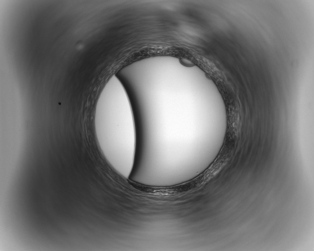 X0000099230758200804241229