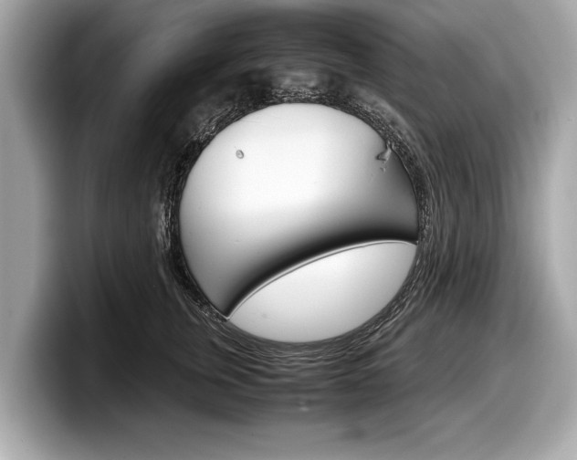 X0000099230759200804241229