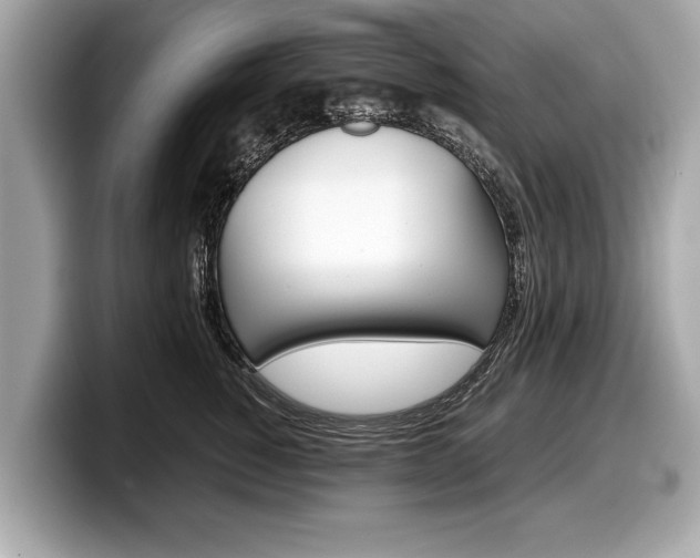 X0000099230760200804241229