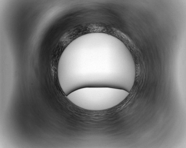 X0000099230761200804241229