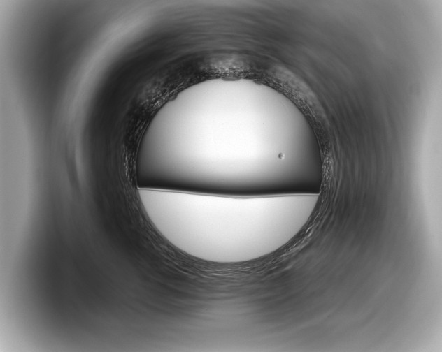 X0000099230762200804241229