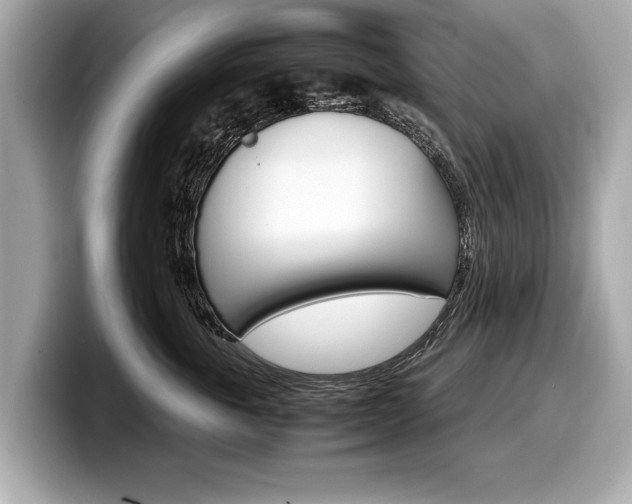 X0000099230763200804241229