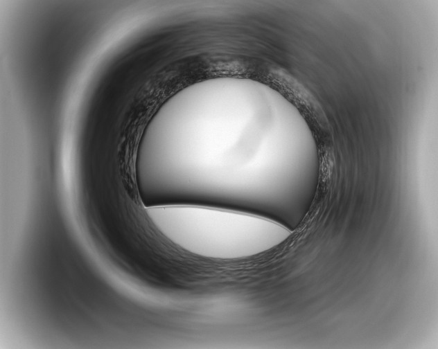 X0000099230764200804241229