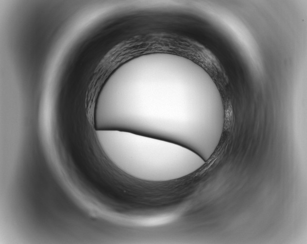 X0000099230765200804241229