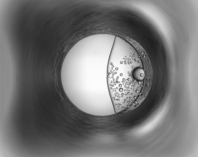X0000099230767200804241229