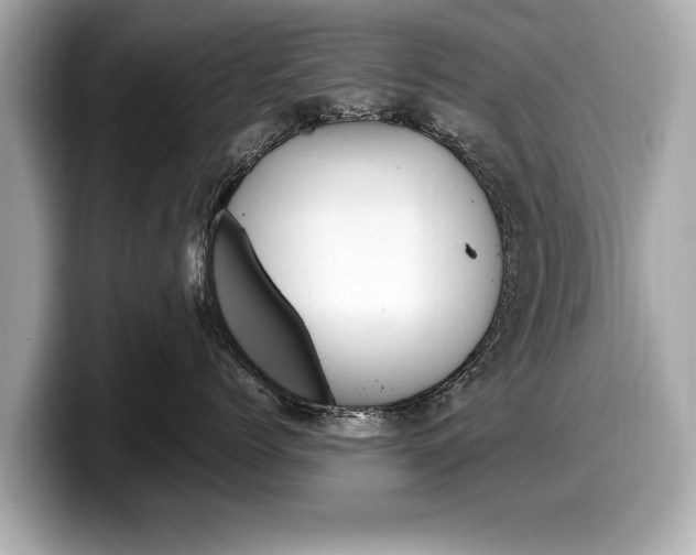 X0000099230768200804241229