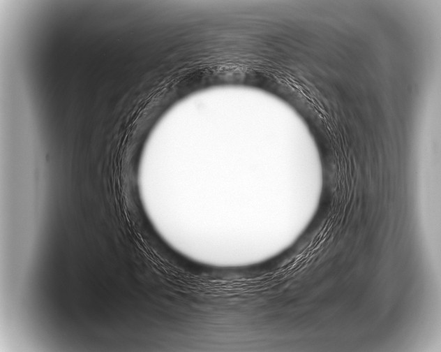 X0000099230769200804241228