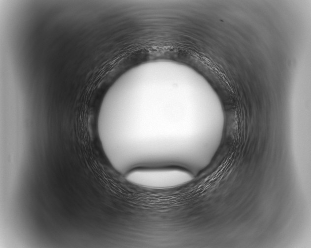 X0000099230770200804241228
