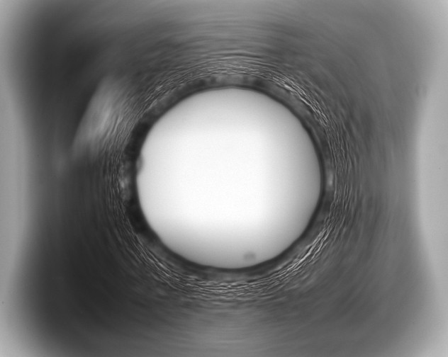X0000099230771200804241228